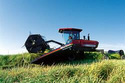 Combine in the field