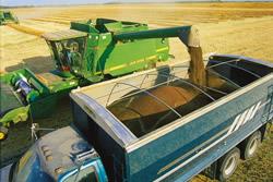 combine and truck in the field