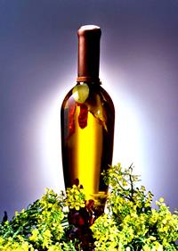 Canola Wine