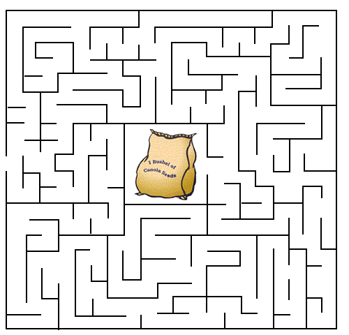 Maze image