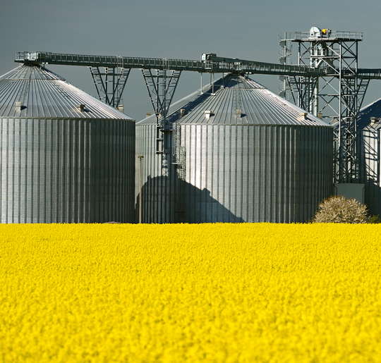Silo in Field